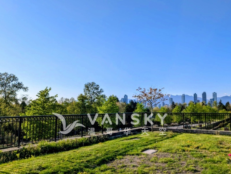 260217185935_burial plot view.jpg